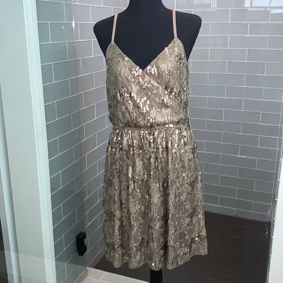 Express Large Pewter Dress - Picture 1 of 6